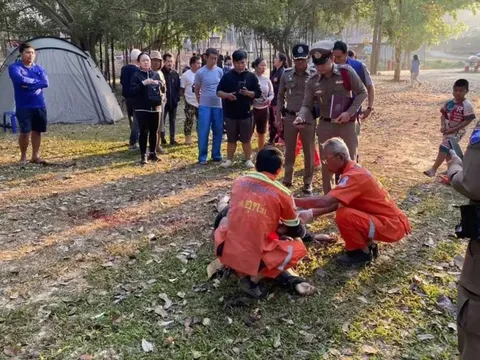 Voi hoang dẫm chết du khách tại Thái Lan
