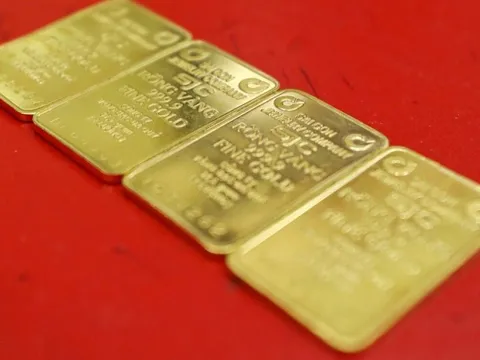 Thủ tướng yêu cầu sớm có giải pháp huy động ngoại tệ và vàng miếng trong dân