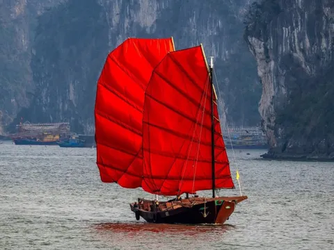 Thuyền buồm hiếm thấy trên vịnh Hạ Long