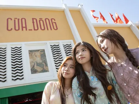 Đi đâu chơi Tết miễn phí?