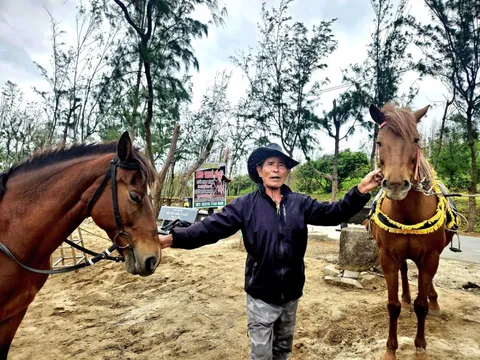 Người giữ ‘Tết vó ngựa’ gần nửa thế kỷ ở Gò Thì Thùng tại Đắk Lắk