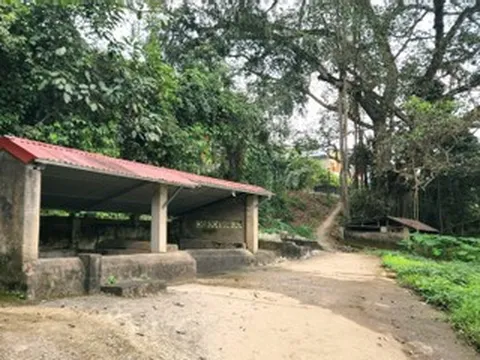 Cả làng ở Thanh Hóa bảo vệ giếng cổ, Tết đến lại ra lấy nước cầu may