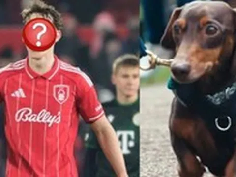 Cầu thủ bóng đá chi 35 triệu/tuần thuê người "dạy bảo" chú chó cưng hung hăng chỉ trực lao vào cắn người