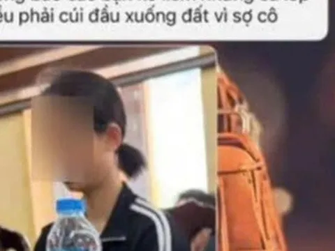 Tạm ngừng giảng dạy với cô giáo bị tố bắt học sinh "liếm đất" trong giờ học Đạo đức