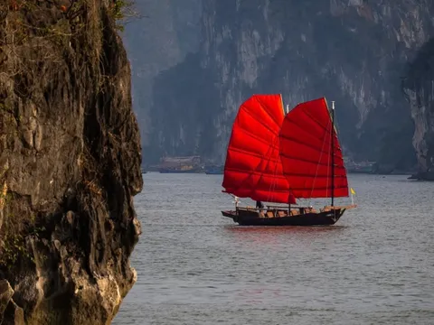 Tạm dừng chạy thuyền buồm đỏ hiếm thấy trên vịnh Hạ Long
