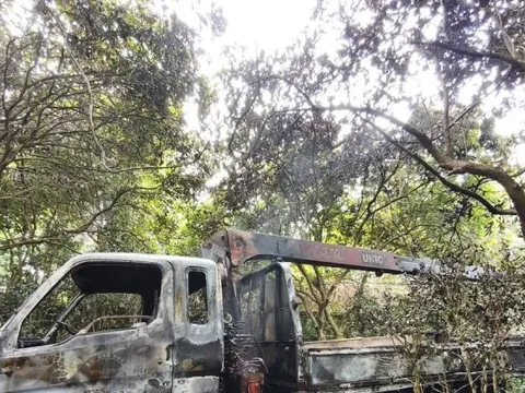 Hà Nội: Xe tải cẩu cây vướng dây điện, tài xế tử vong