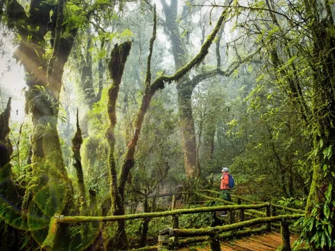 Hành trình sống chậm tại Chiang Mai, Lamphun và Lampang