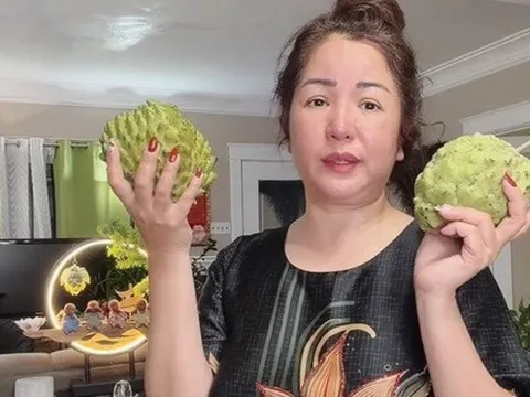 Nữ nghệ sĩ ở Mỹ bị hăm dọa