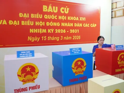 Cử tri đi bầu cử cần lưu ý những gì?