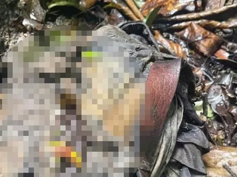 Phát hiện bộ xương người trong bìa rừng ở Măng Đen