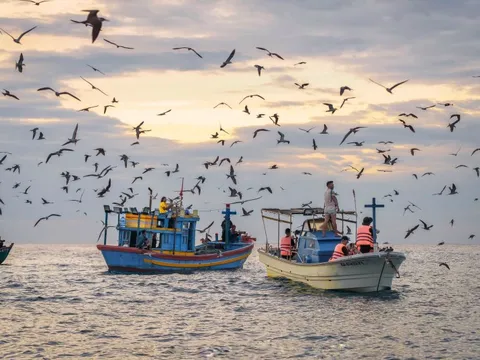 Nơi cá voi săn mồi ở Gia Lai sắp thành cảng du lịch