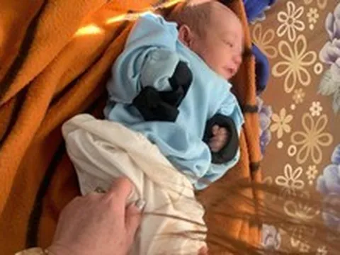 Phát hiện bé sơ sinh bị bỏ rơi trong rẫy cà phê ở Gia Lai