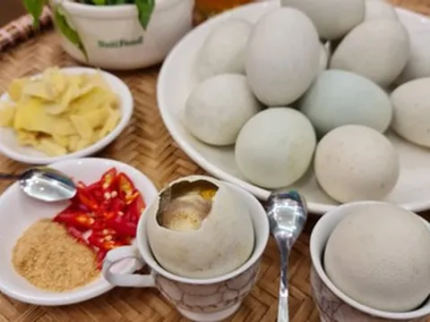 Luộc trứng vịt lộn bao nhiêu phút thì chín?