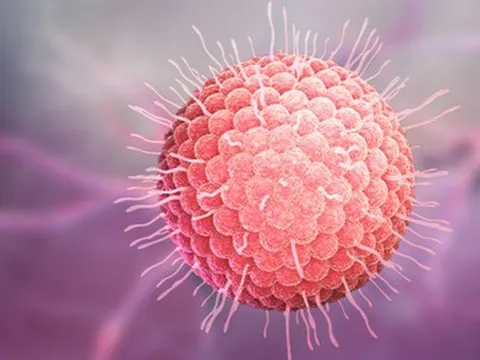 78% người lớn có một số bệnh lý mạn tính lo ngại zona gây gián đoạn cuộc sống