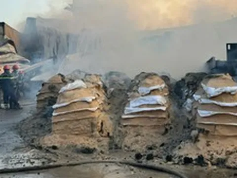 Cháy xưởng chế biến mùn cưa ở TP.HCM, 3 người bị thương