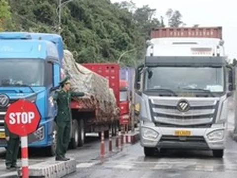 Tạm ngưng hiệu lực Nghị định 46 và Nghị quyết 66.13