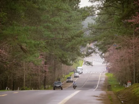 Nữ du khách Pháp gãy chân khi đi xe máy ở Măng Đen