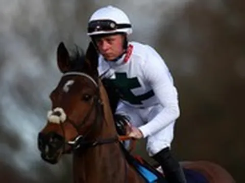 VĐV đua ngựa 26 tuổi tiêu tan sự nghiệp sau khi bị kết tội ngộ sát trong vụ ẩu đả khiến ông lão thiệt mạng