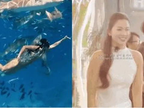 Ánh Viên hoá "tiểu tiên cá" xinh đẹp vẫy vùng giữa biển khơi, lên bờ lại là nàng thơ rạng rỡ vạn người mê