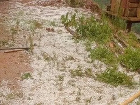 Mưa đá dày đặc ở Sơn La, đồi núi trắng xóa sau cơn dông