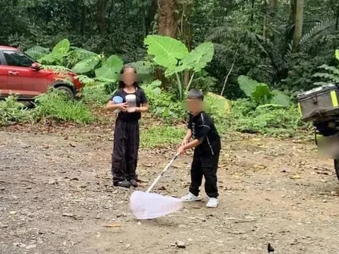 Khách mang vợt bắt bướm, cất vào hộp tại VQG Cúc Phương