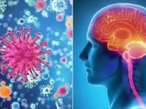 Khống chế thành công ổ dịch viêm não mô cầu ở Cà Mau