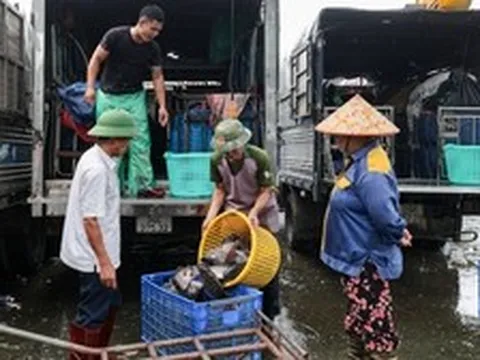 Cảnh ô nhiễm kéo dài tại chợ cá lớn nhất Hà Nội trước ngày bị giải tỏa