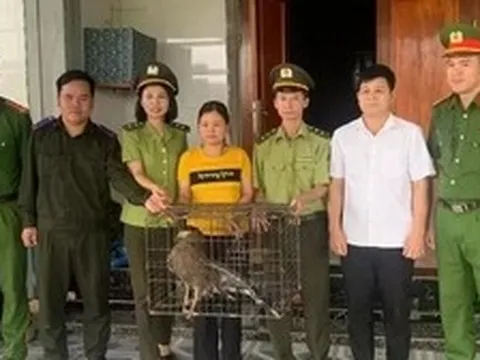 Động vật 'lạ' xuất hiện trong khu dân cư