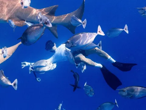 Không biết bơi có thể lặn biển không?