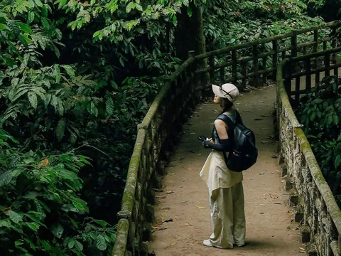 Điều bị 'bỏ quên' tại VQG Cúc Phương