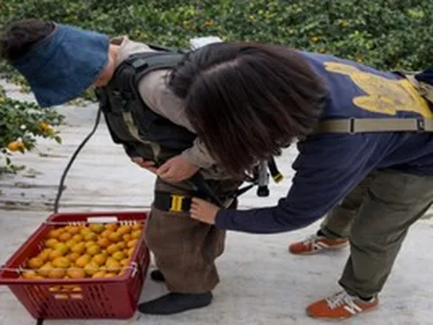 Hàn Quốc cho nông dân thuê robot trợ lực