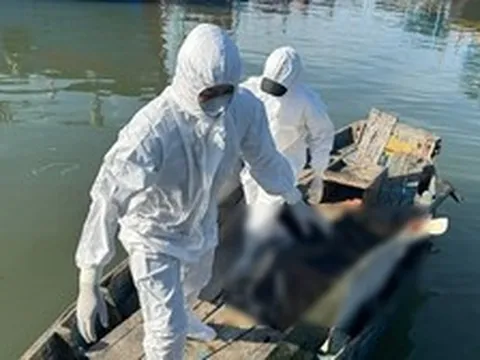 Phát hiện thi thể 1 người đàn ông khoảng 50 tuổi tại ụ Ba Thám