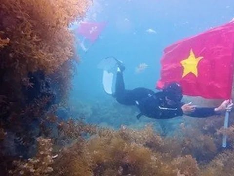 Mang cờ Tổ quốc xuống biển Quy Nhơn check-in, giới trẻ lan tỏa lòng yêu nước