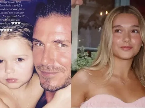 Bức ảnh hiếm của David Beckham và con gái Harper ở bể bơi gây chú ý