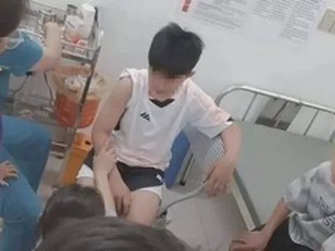 Chó 'điên cuồng' lao vào cắn xé 6 người đi đường