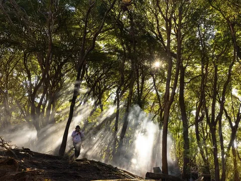 Cấm trekking tự phát một số đỉnh núi cao nhất Việt Nam