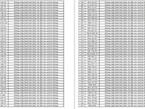 554 chủ phương tiện có tên trong trong danh sách này khẩn trương nộp phạt nguội theo Nghị định 168