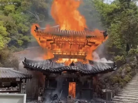 'Ngọn lửa vĩnh cửu' 1.200 năm nghi làm cháy rụi điện thờ ở Nhật Bản
