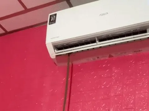 Đang nghỉ trưa, người đàn ông Tây Ninh phát hiện rắn chui ra từ điều hòa