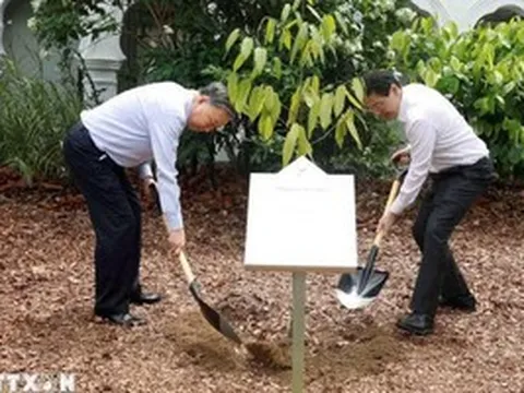 Tổng Bí thư, Chủ tịch nước Tô Lâm và Thủ tướng Lawrence Wong trồng cây tại Vườn Bách thảo Singapore