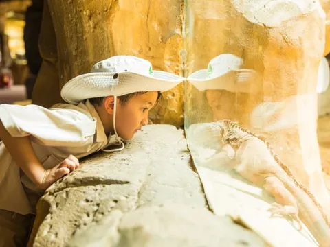 VinWonders cùng Quỹ Khuyến học trao mùa hè ý nghĩa cho trẻ em