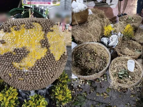 Nửa triệu khách đổ về lễ hội ở Đồng Tháp sau lùm xùm vặt trụi trái cây