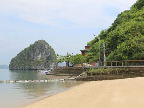 Chưa đón khách đến bãi biển kín tiếng 'đẹp nhất thế giới' ở Việt Nam