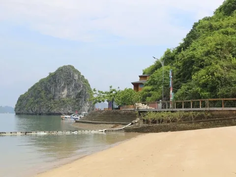 Điều ít biết về bãi biển kín tiếng 'đẹp nhất thế giới' ở Việt Nam