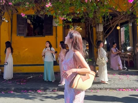 Ca sĩ Hàn Quốc mê mẩn hoa giấy Hội An