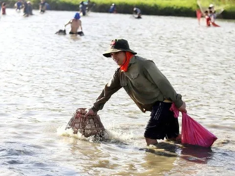 Chỉ một ngày trong năm, hàng trăm người lội xuống đầm "săn lộc"