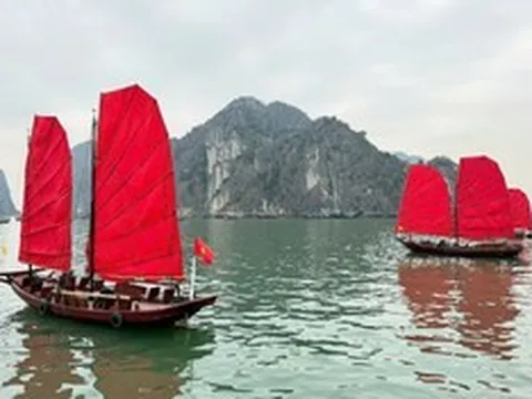 Hồi sinh thuyền buồm ba vách trên vịnh Hạ Long