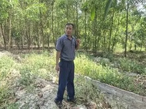 Cựu cán bộ xã xót xa khi mộ con bị di dời: Đà Nẵng giao thanh tra vào cuộc