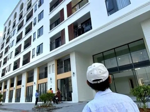 Chính phủ quy định cụ thể về 22 trường hợp được miễn thuế thu nhập cá nhân
