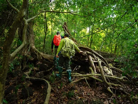 Tour lạ thám hiểm rừng Cát Tiên đông khách đặt trước đến cuối năm